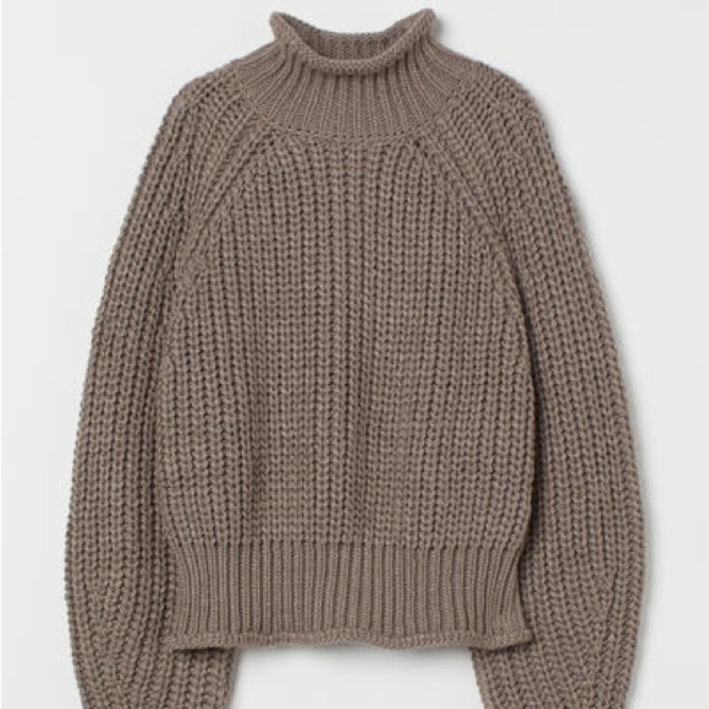 H&M knit cropped turtleneck sweater